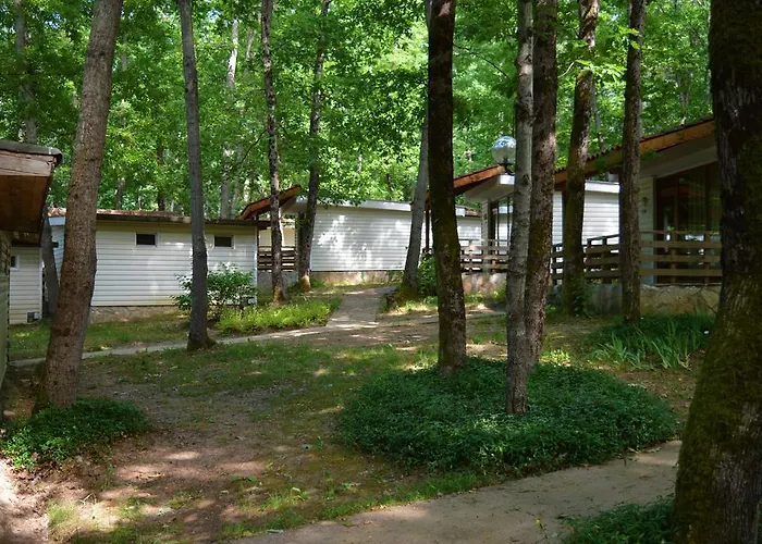 Holidays Parco vacanze 3*